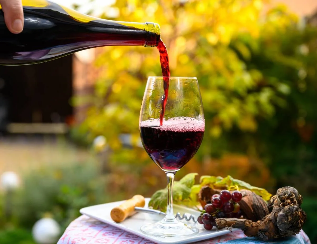 Wine Tour Châteauneuf-du-Pape