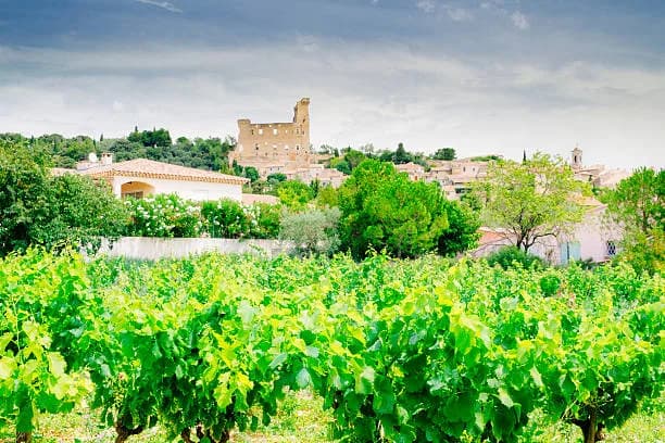 Wine Tour Châteauneuf-du-Pape