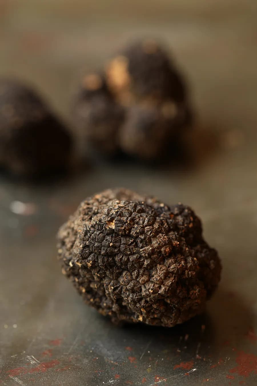 Truffes Secrètes du Luberon — photo 4
